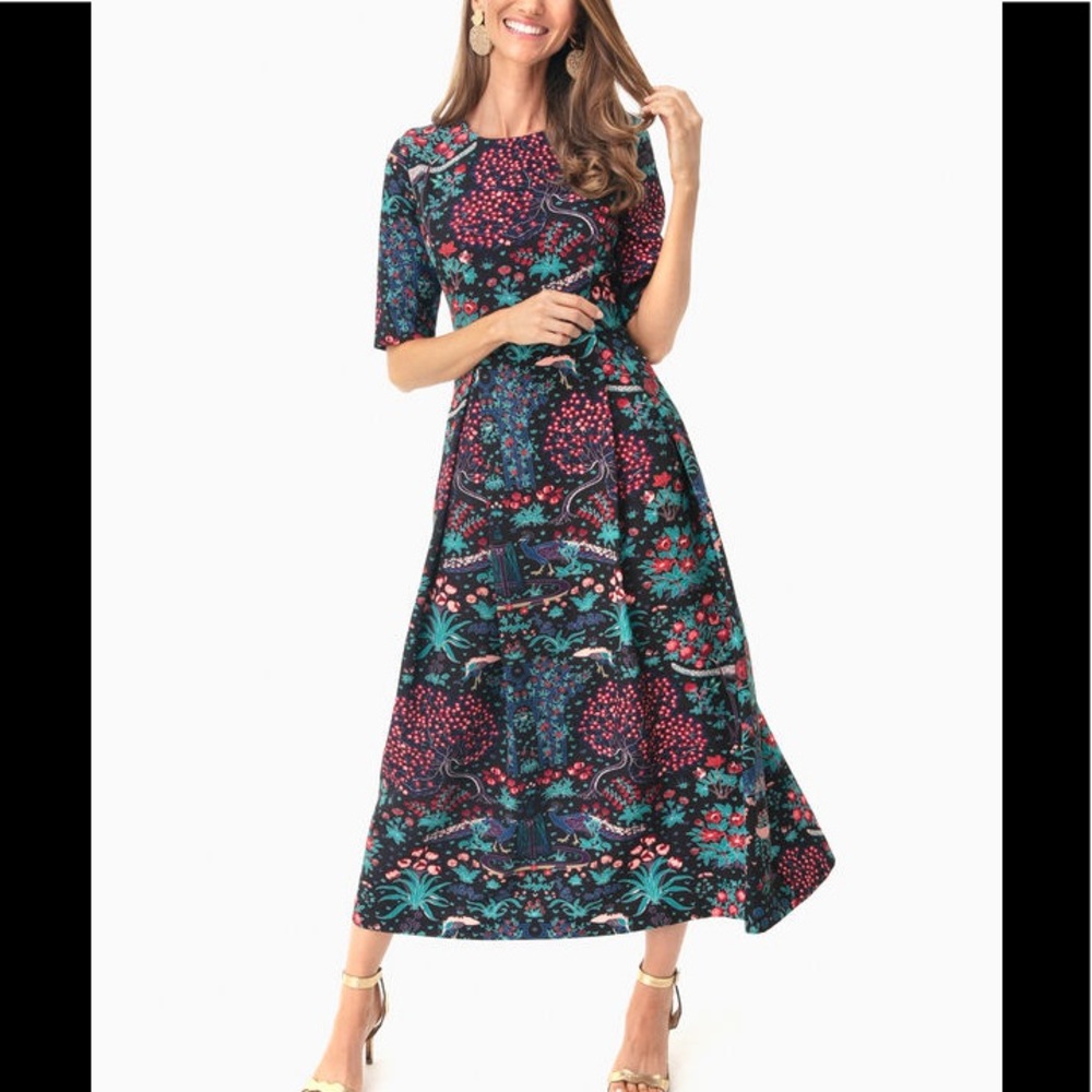 NWT Tuckernuck Midnight Garden Dress size s small